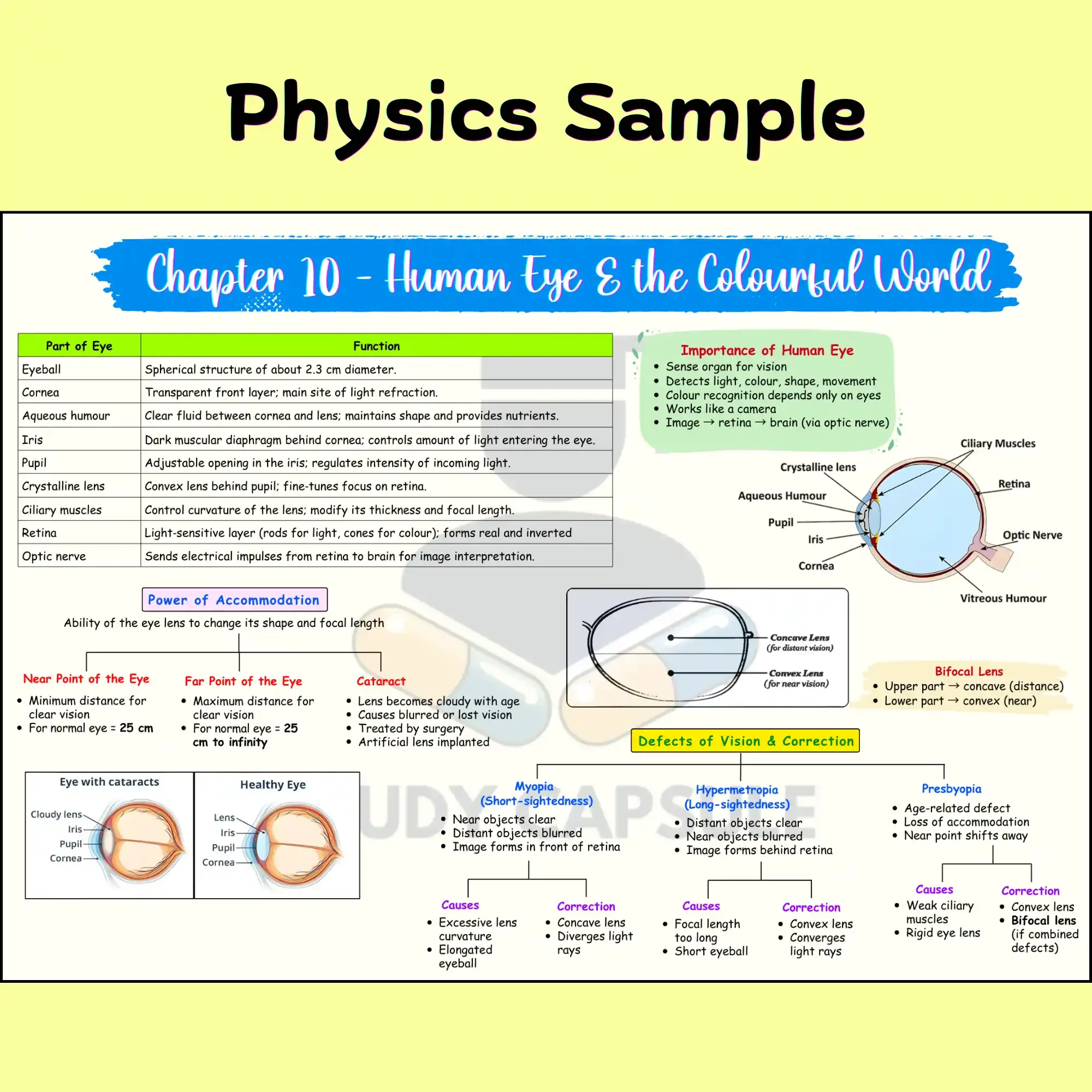 CBSE Class 10th Physics - Defects of human eye mind map
