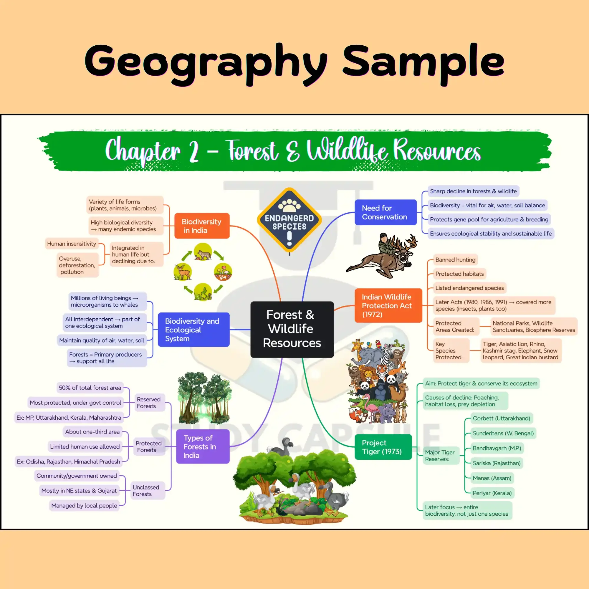 CBSE Class 10 SST | Geography - Forest and Wildlife Resources mind maps