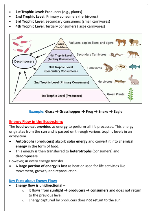 Class 10 Science Exam-Ready Notes | 2025-26 | Digital E-book (PDF) - Image 4