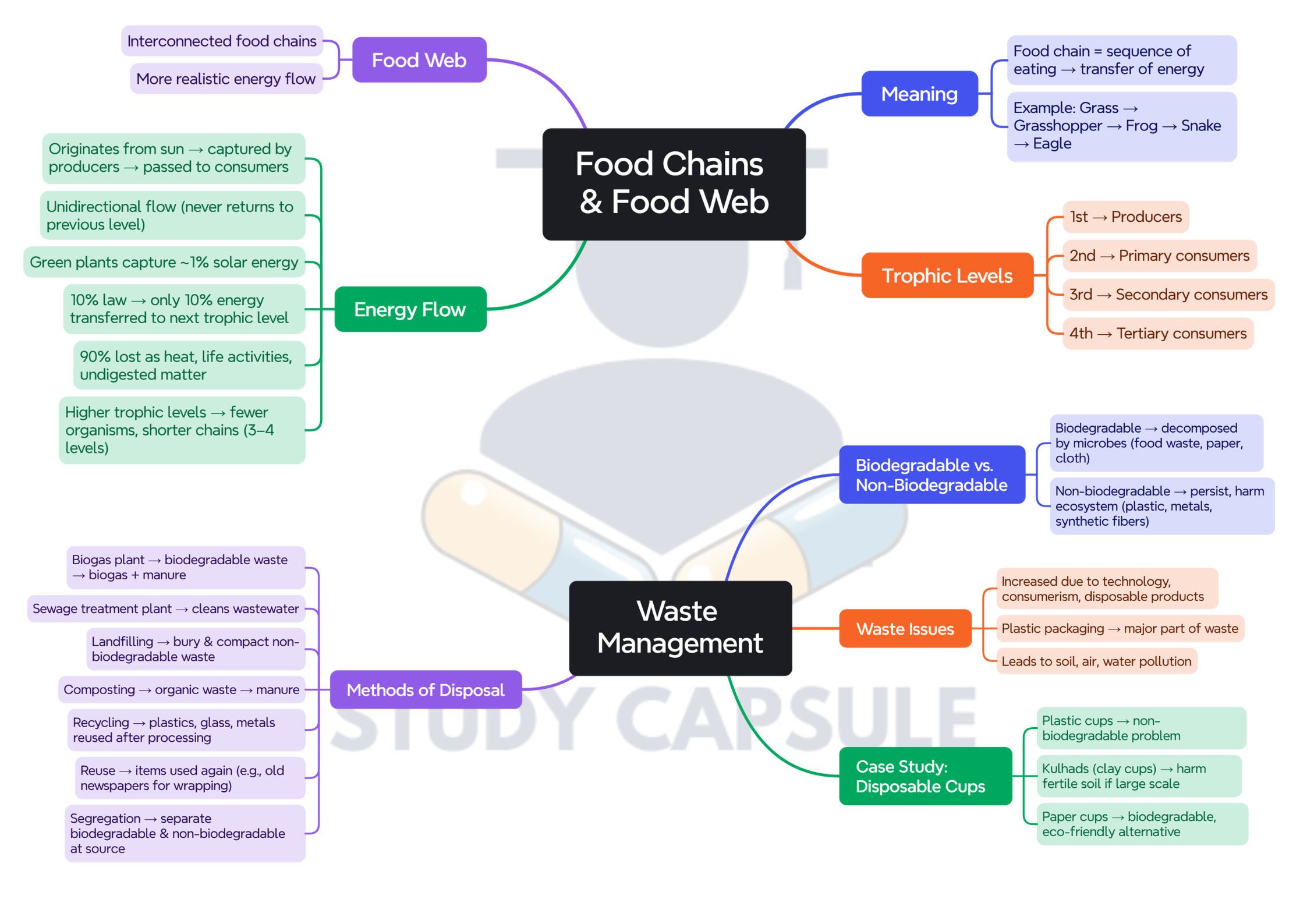 Class 10 Science Chapter Wise Mind Maps | 2025-26 (PDF) - Image 2