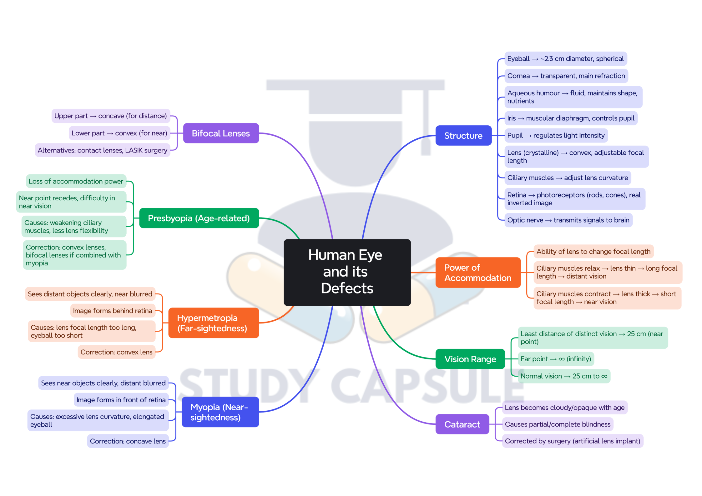 Class 10 Science Chapter Wise Mind Maps | 2025-26 (PDF) - Image 4